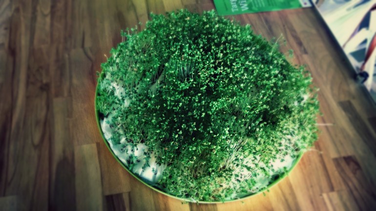 Targ Wielkanocny w Nowej Hucie