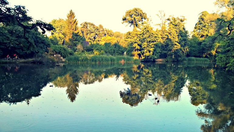 Staw ul. Kaczeńcowa Nowa huta