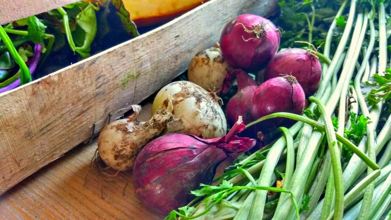 prosto-ze-wsi-warzywa-2